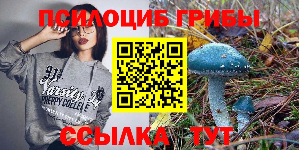 цены   Вход с VPN  Майский  Псилоцибиновые грибы MAGIC MUSHROOMS 