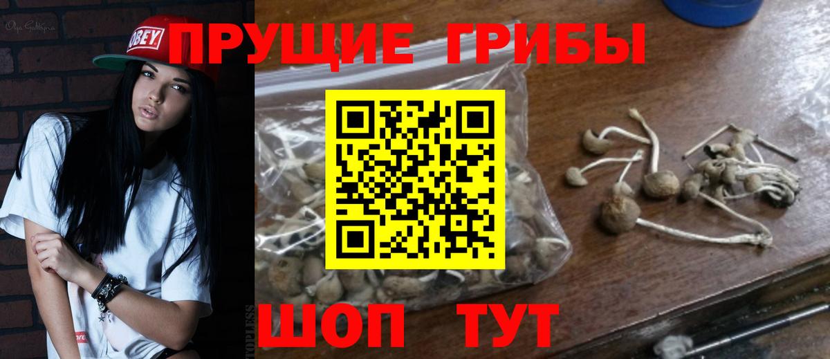 Галлюциногенные грибы Cubensis Майский